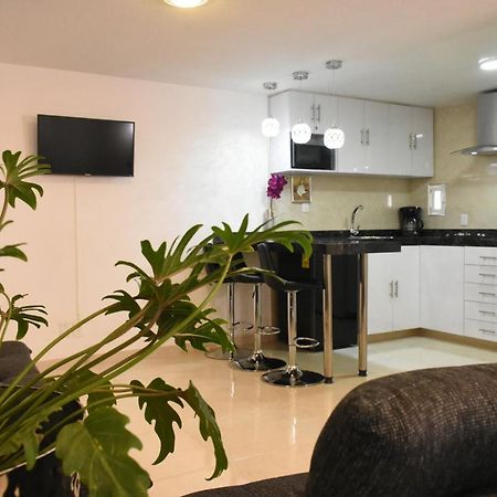 Departamento Alejandro - Completo Y Amplio Departamento En Una Zona Muy Tranquila De La Cdmx Meksyk Zewnętrze zdjęcie