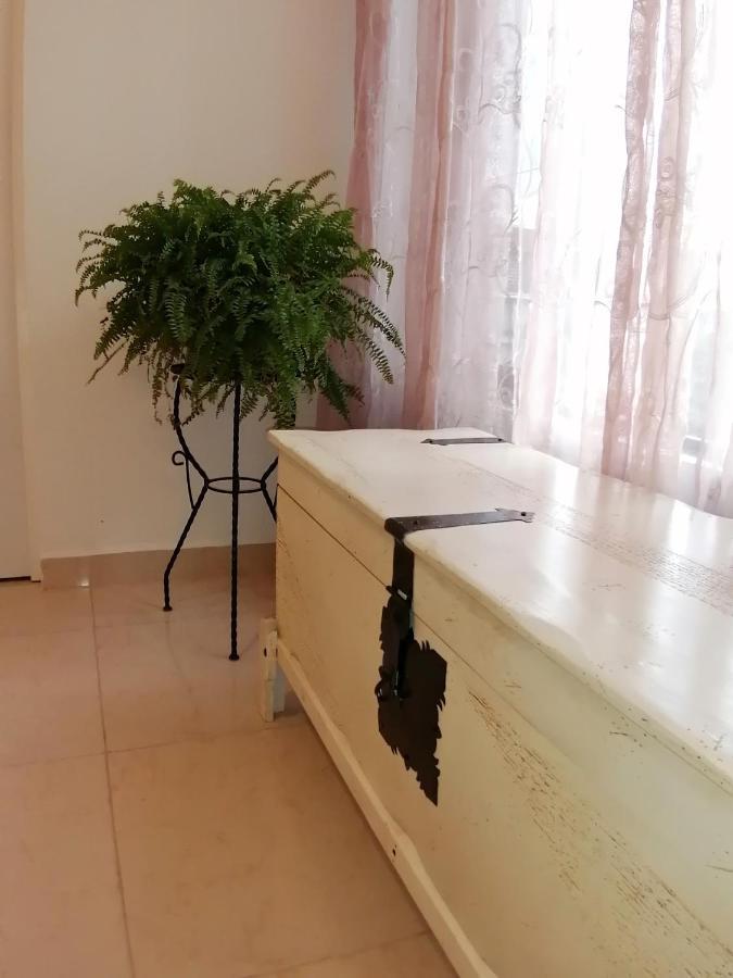 Departamento Alejandro - Completo Y Amplio Departamento En Una Zona Muy Tranquila De La Cdmx Meksyk Zewnętrze zdjęcie